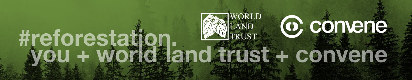 wlt-referral-tree-banner-1600x300
