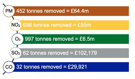 Pollutants removed by Trees infographic